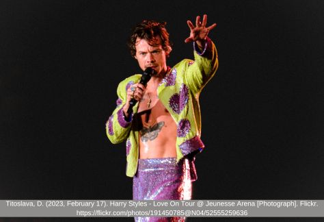 Harry Styles: What is Harry Style's Height?